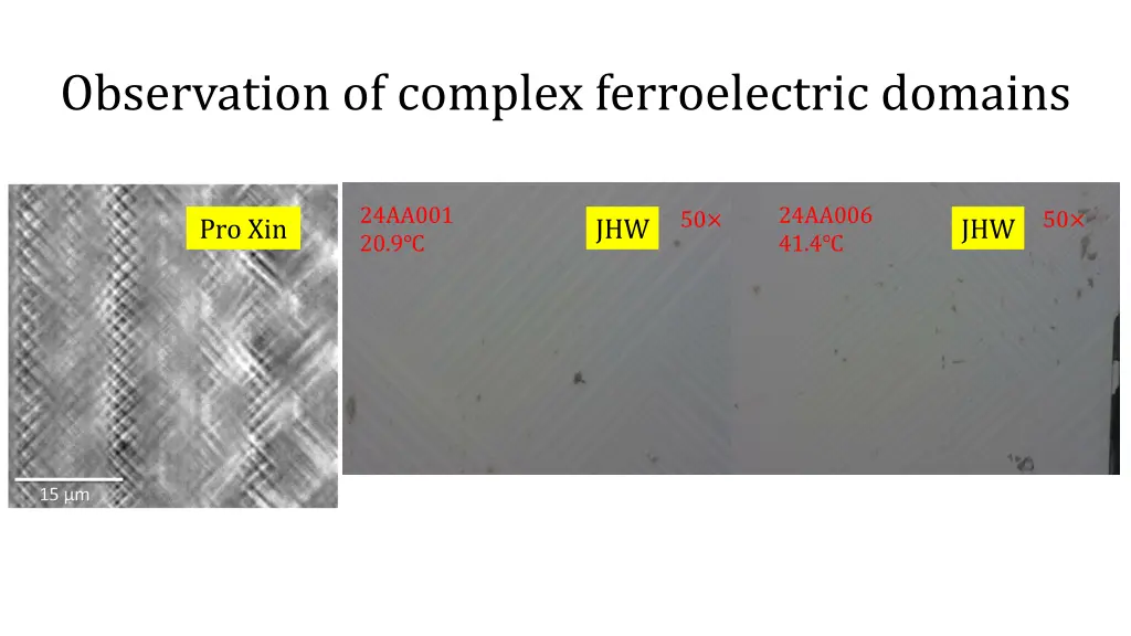 observation of complex ferroelectric domains
