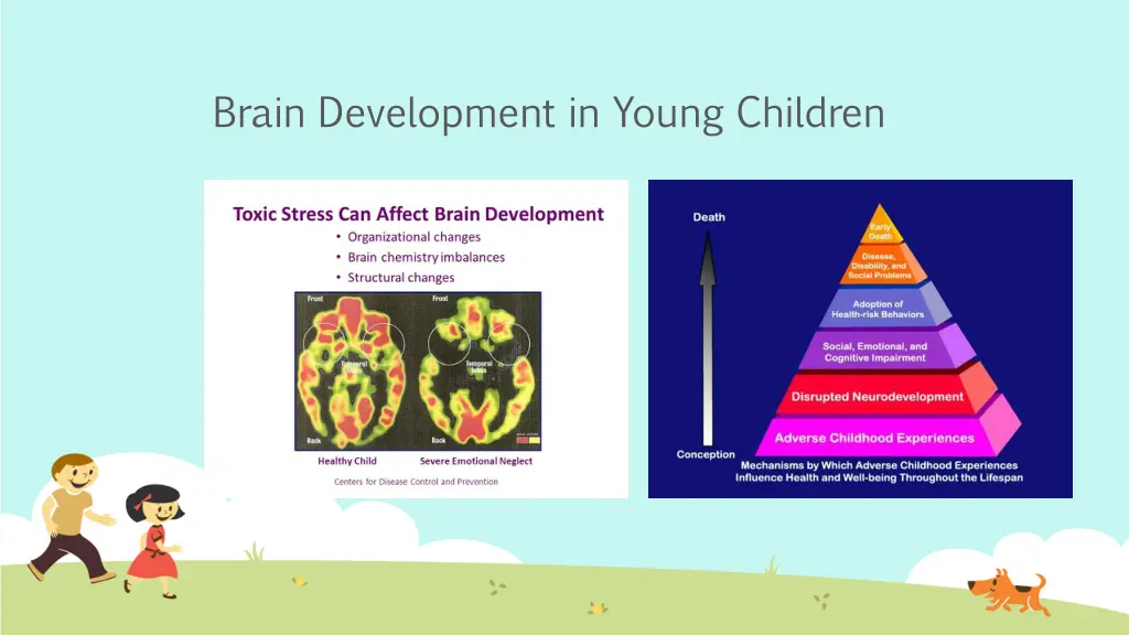 brain development in young children