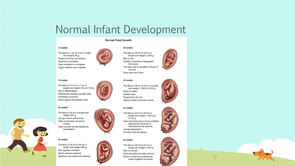 normal infant development