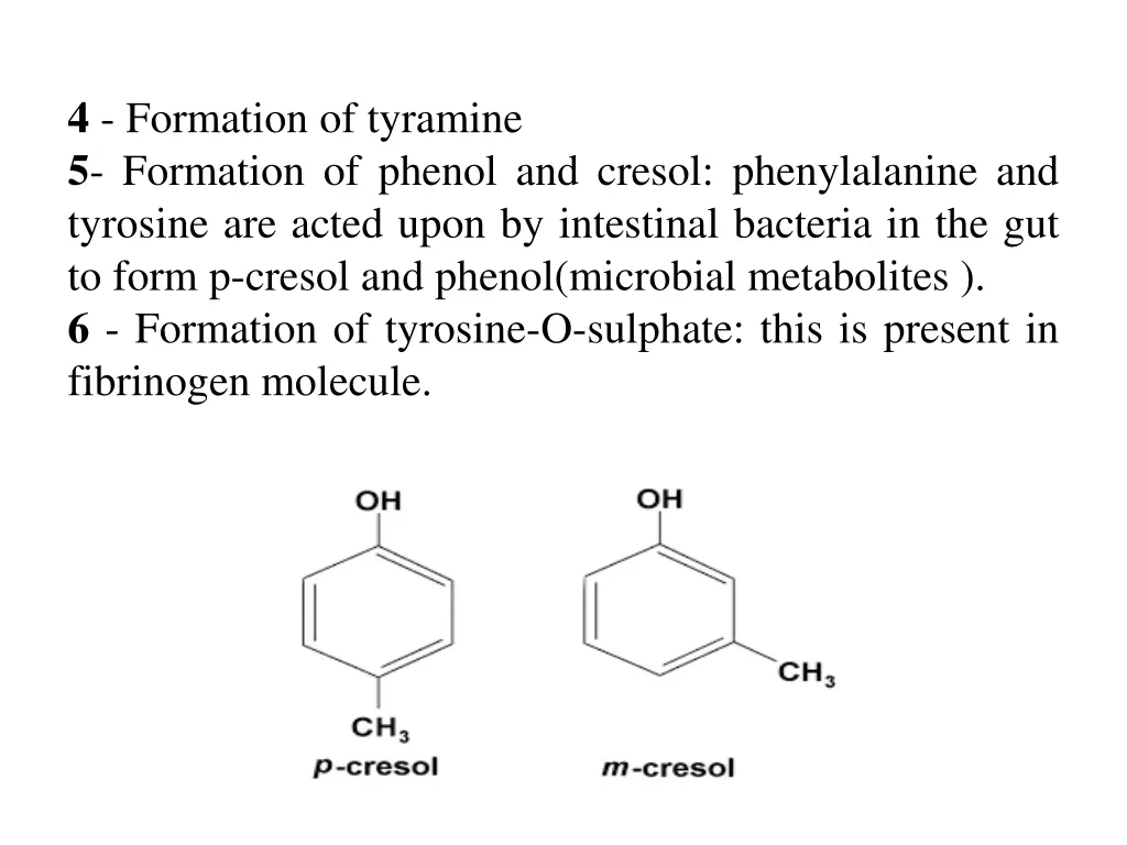 4 formation of tyramine 5 formation of phenol