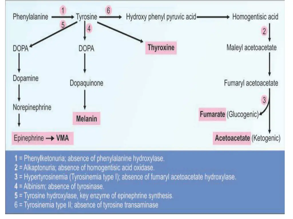 slide25