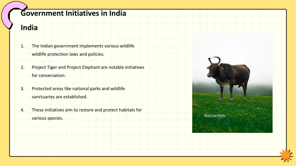 government initiatives in india