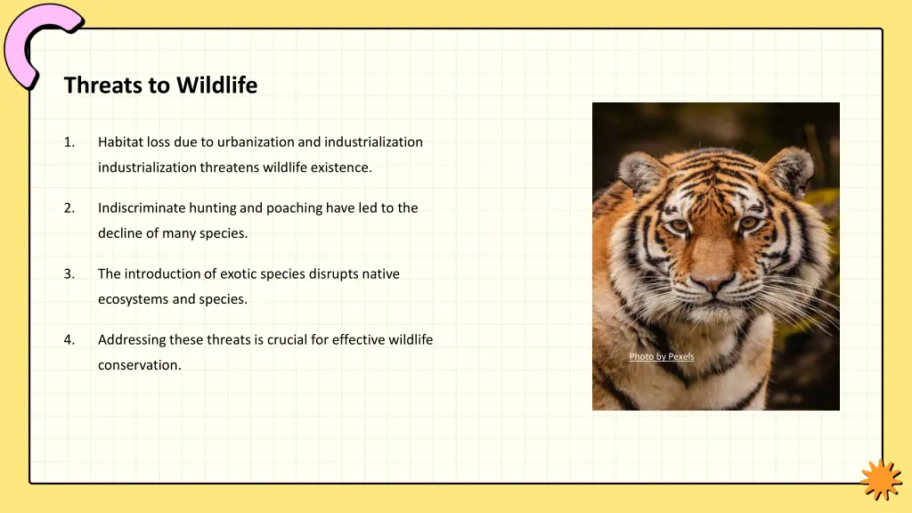 threats to wildlife