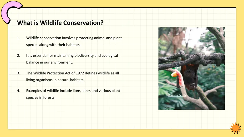 what is wildlife conservation