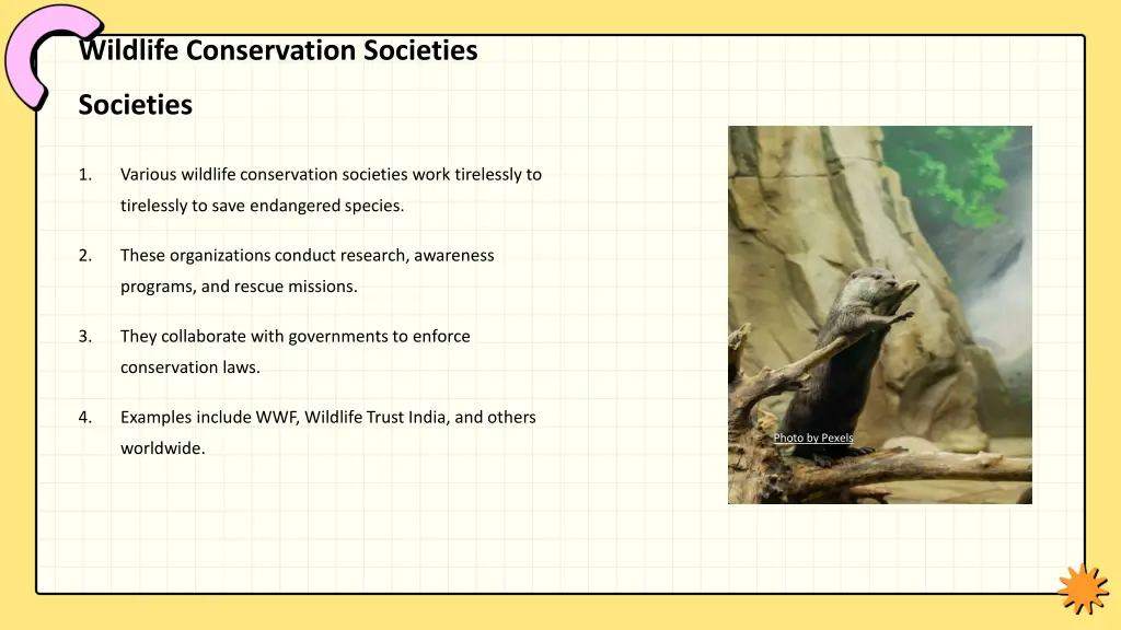 wildlife conservation societies