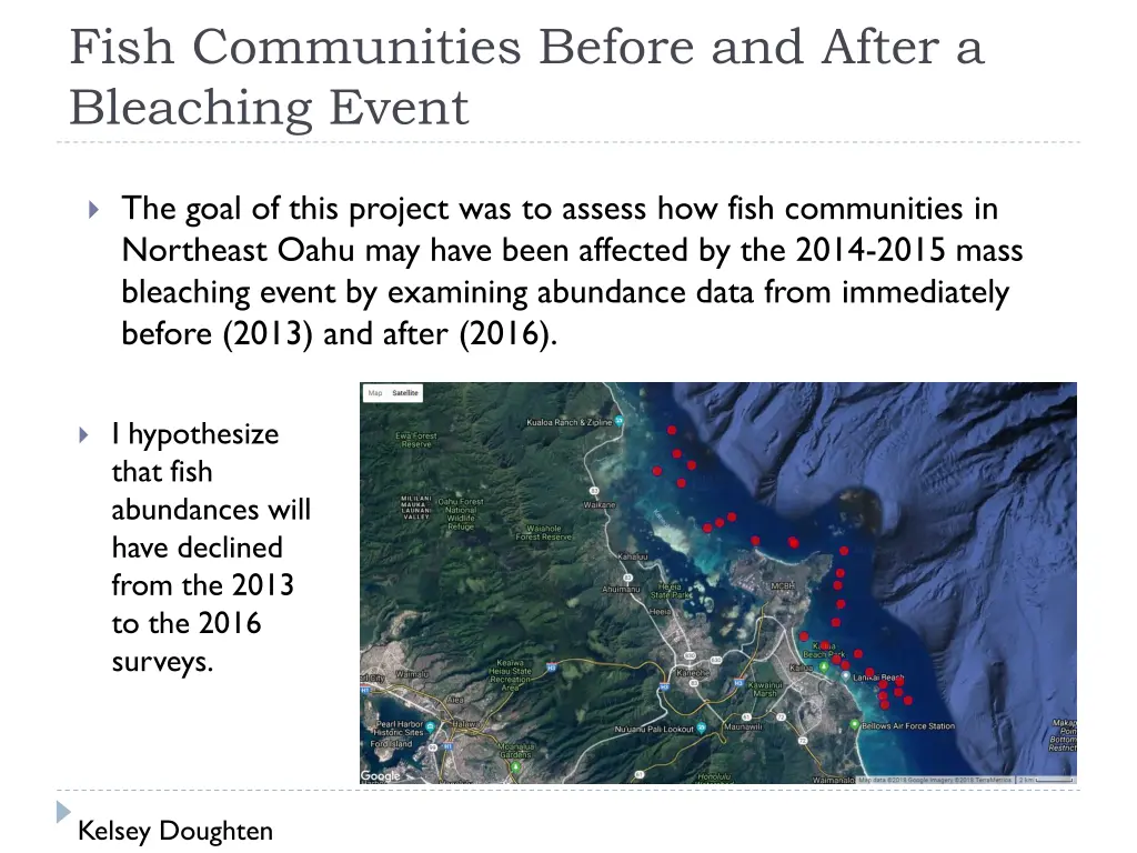fish communities before and after a bleaching