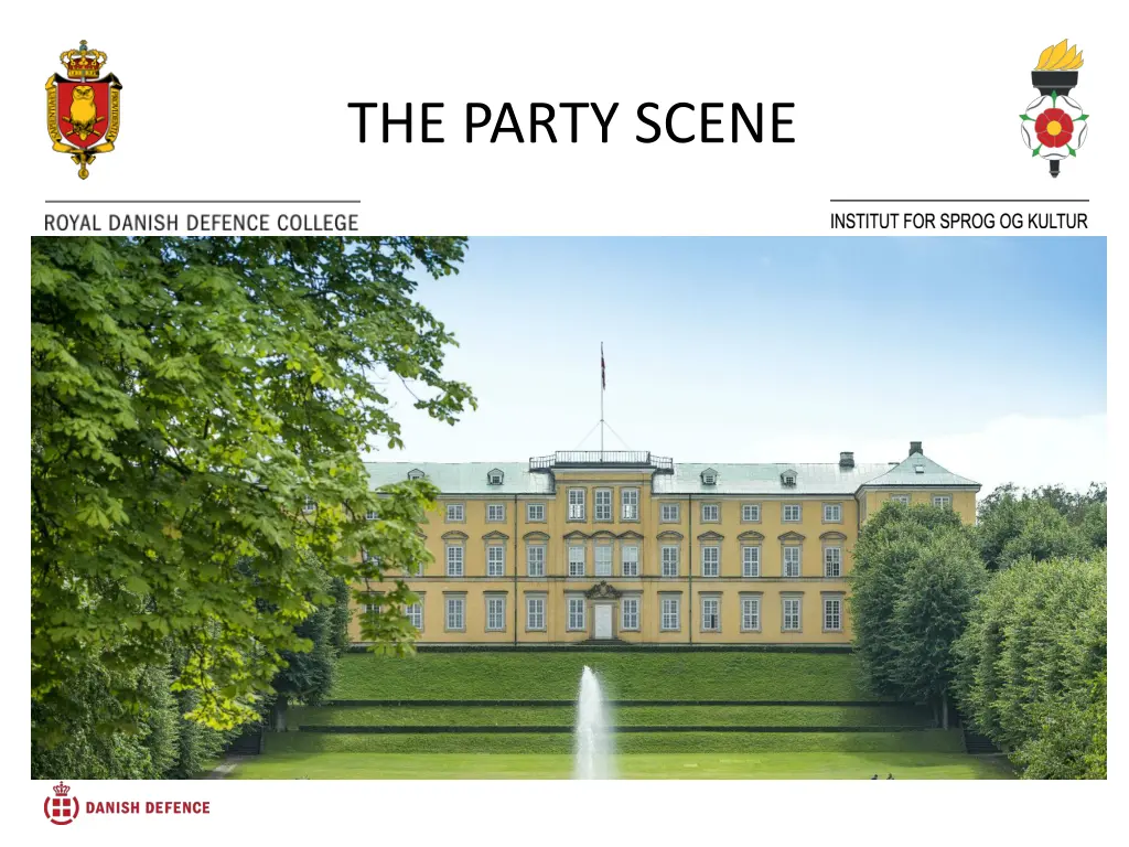the party scene