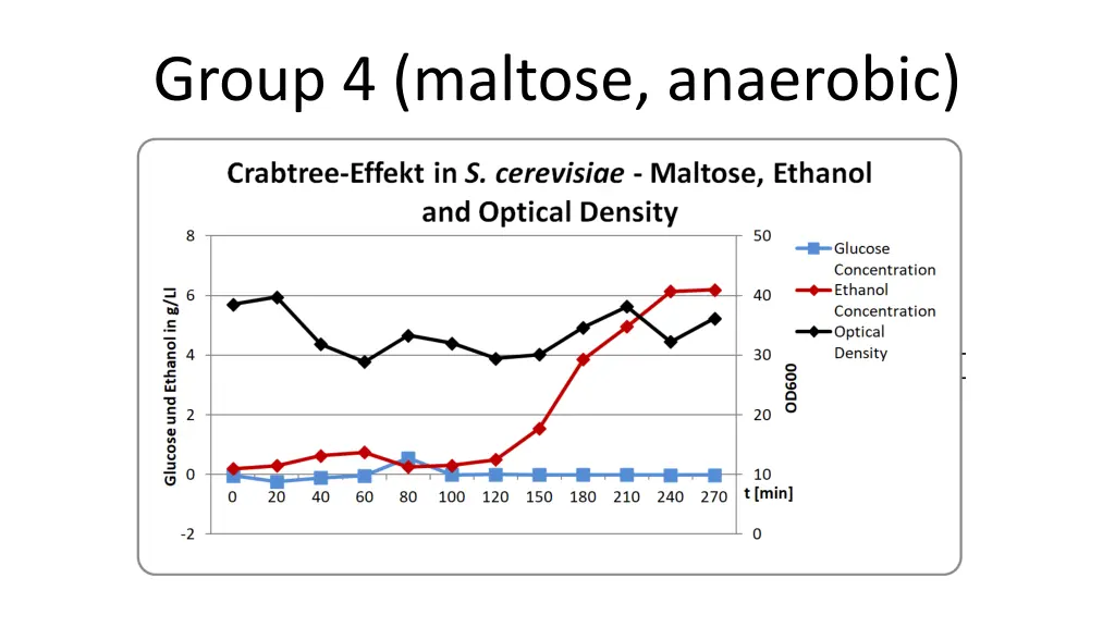 group 4 maltose anaerobic