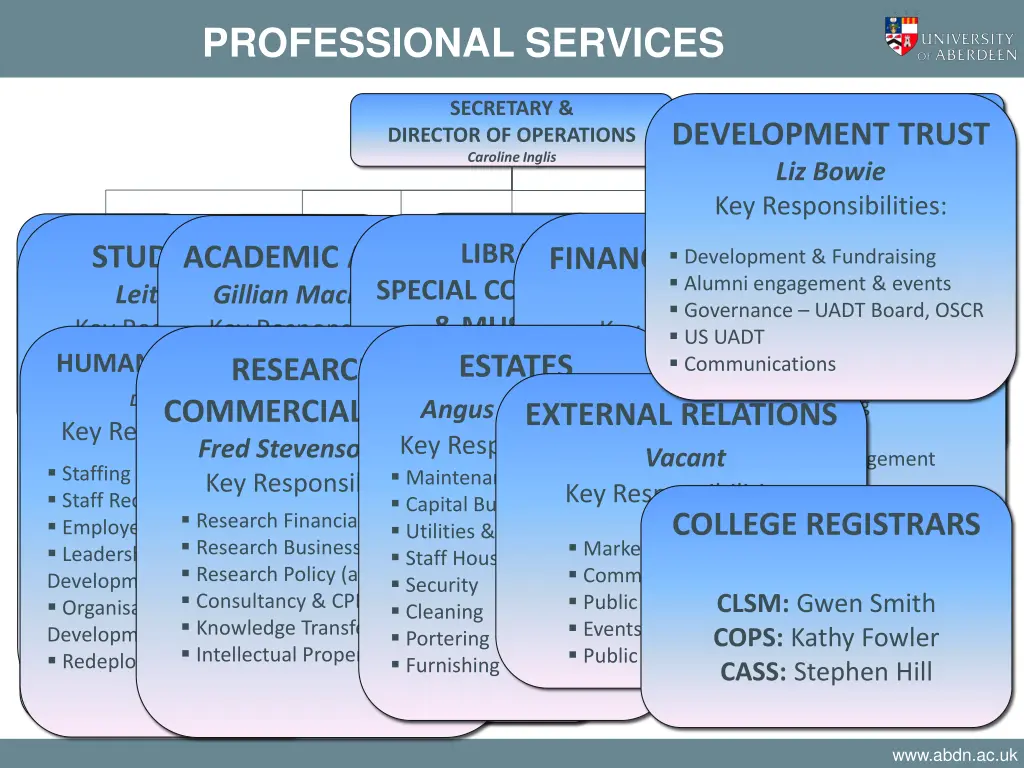 professional services