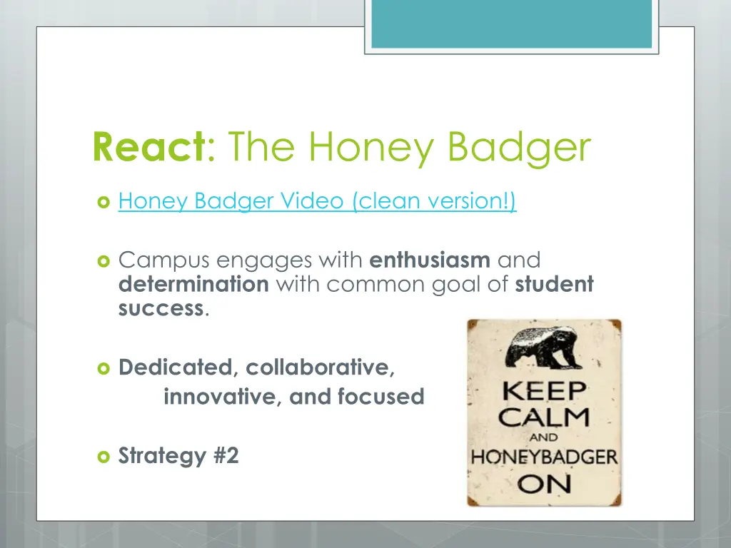 react the honey badger