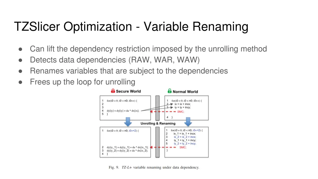 tzslicer optimization variable renaming