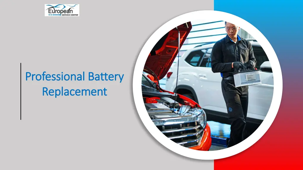 professional battery professional battery
