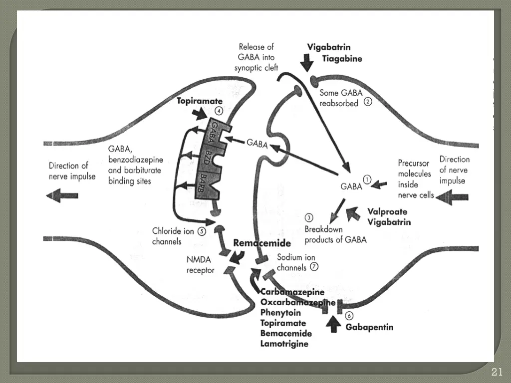 slide21