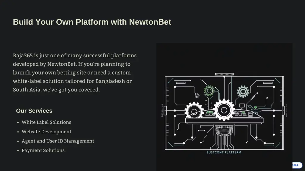 build your own platform with newtonbet
