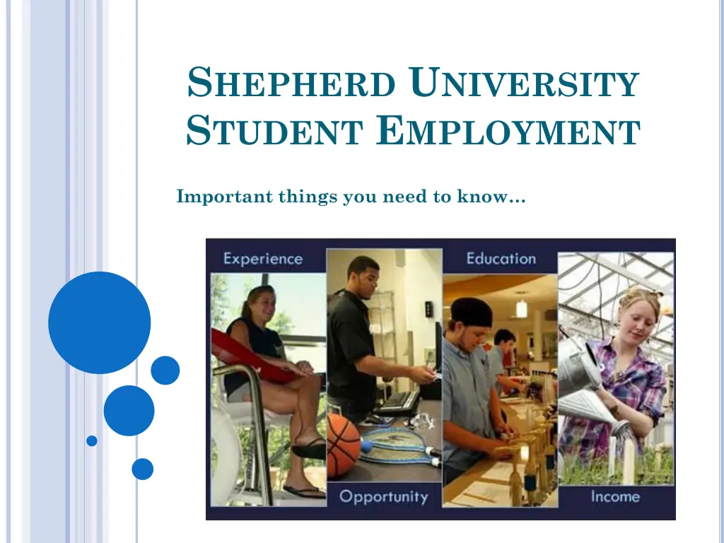 s hepherd u niversity s tudent e mployment