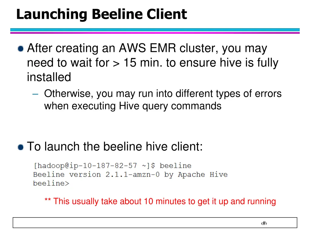 launching beeline client