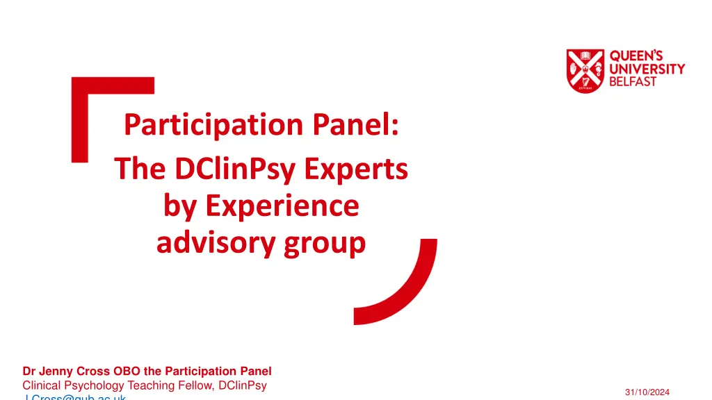 participation panel the dclinpsy experts