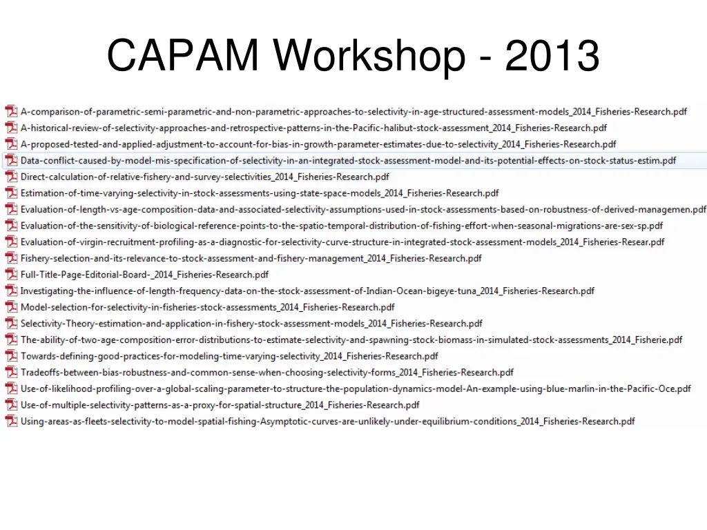 capam workshop 2013