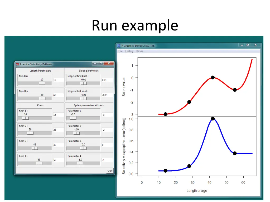 run example