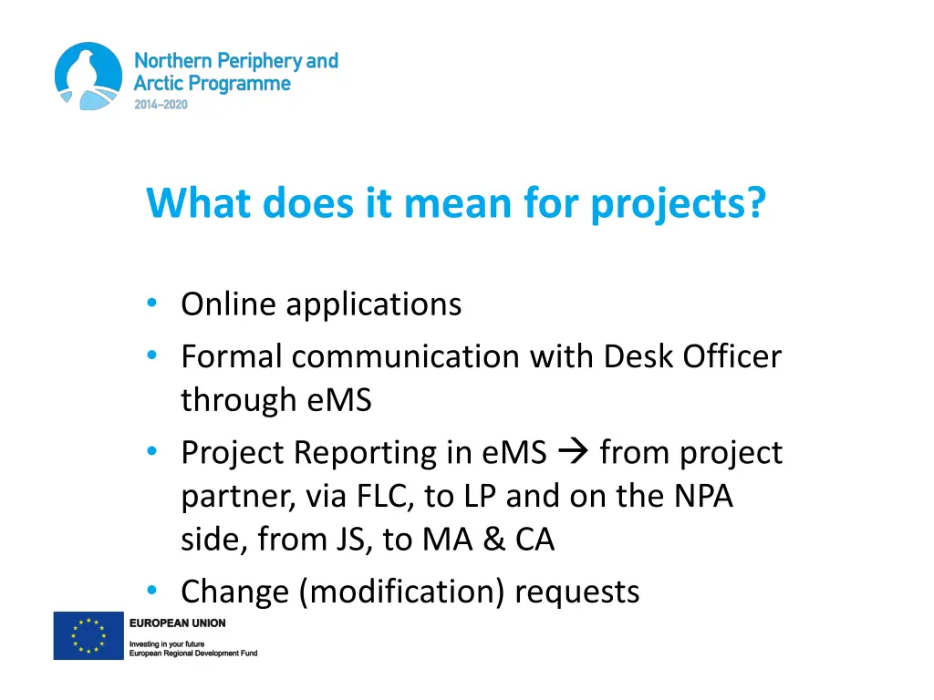 what does it mean for projects