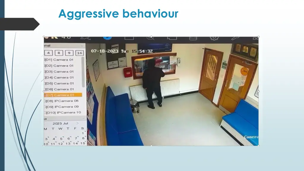 aggressive behaviour