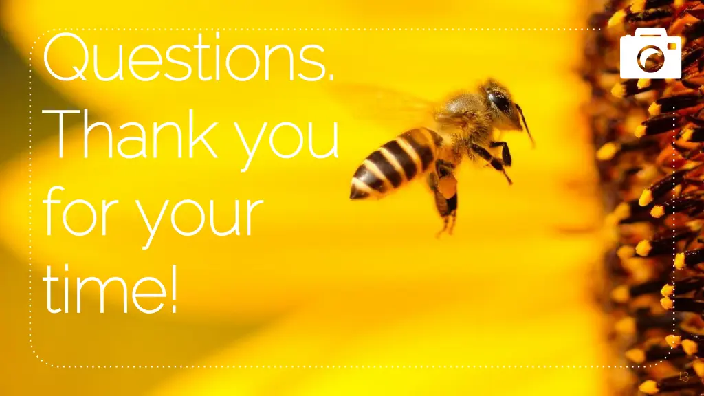 questions questions thank you thank you for your