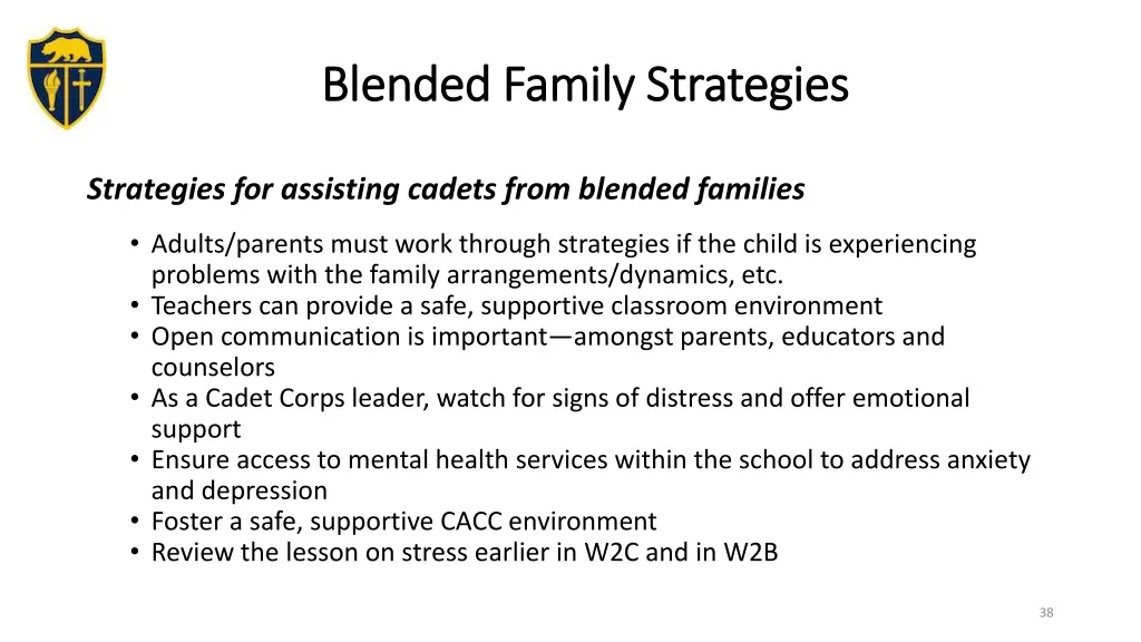 blended family strategies blended family