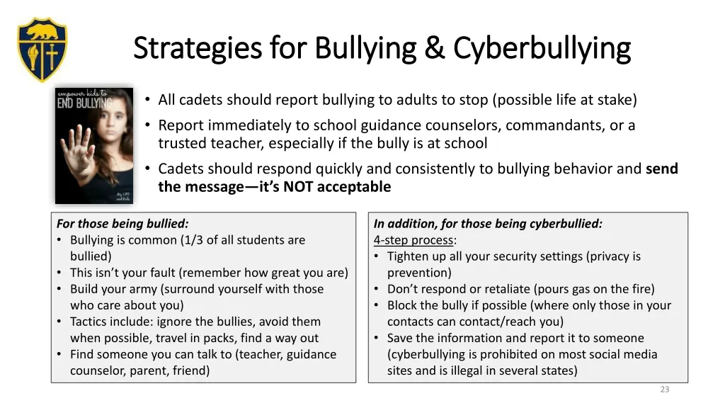 strategies for bullying cyberbullying strategies