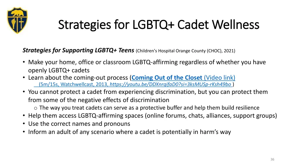 strategies for lgbtq cadet wellness strategies