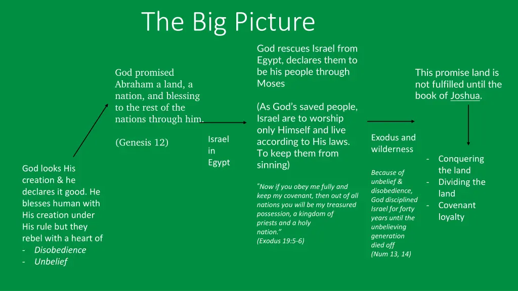 the big picture