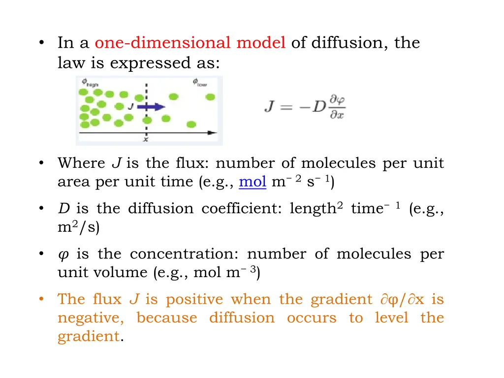 in a one dimensional model of diffusion