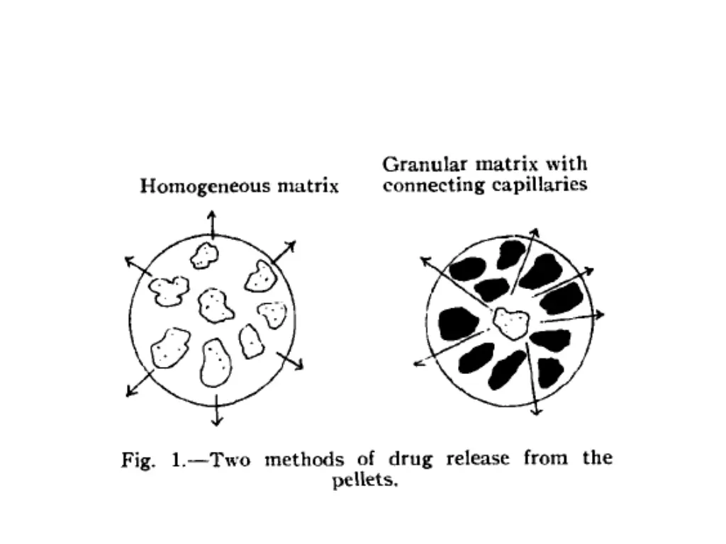 slide15