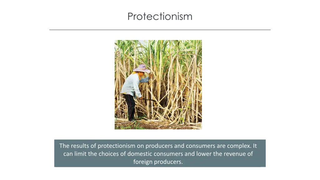 protectionism 1
