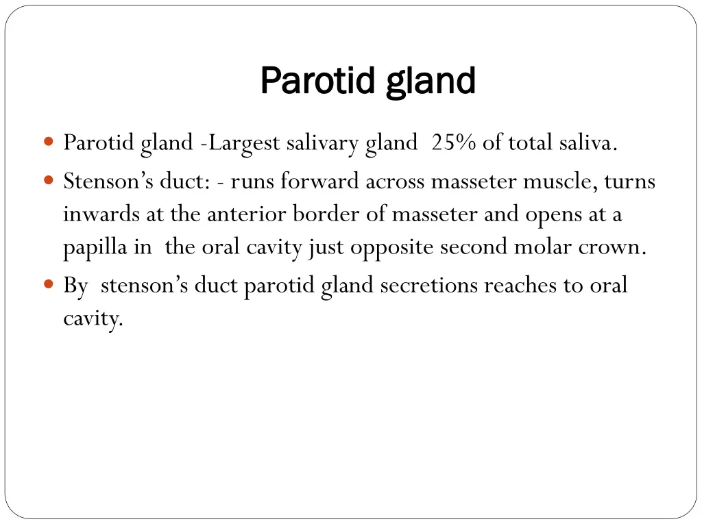 parotid gland parotid gland