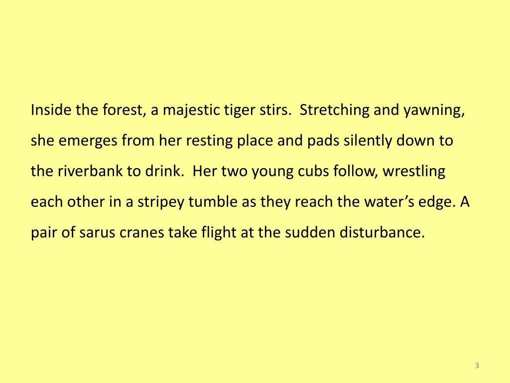 inside the forest a majestic tiger stirs