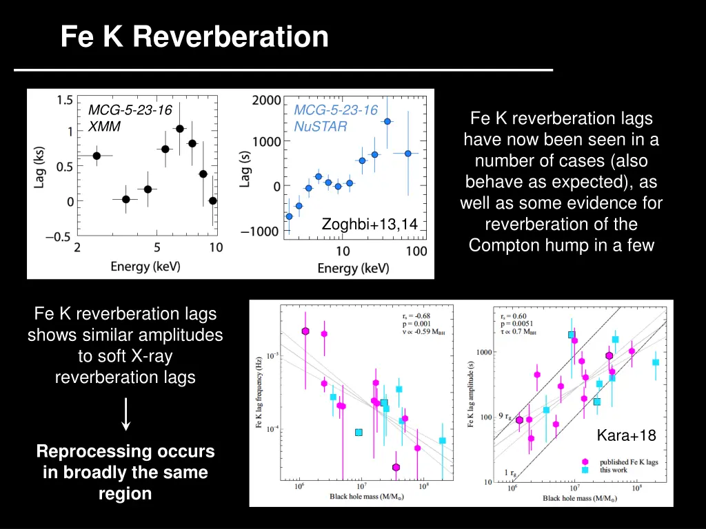 fe k reverberation