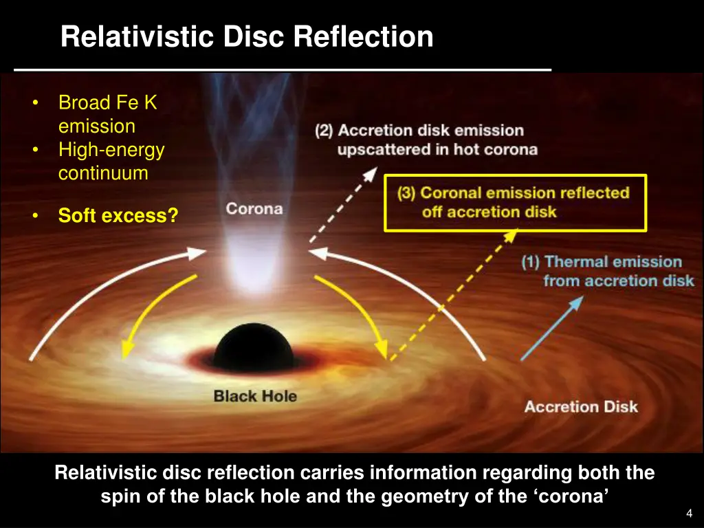 relativistic disc reflection 1