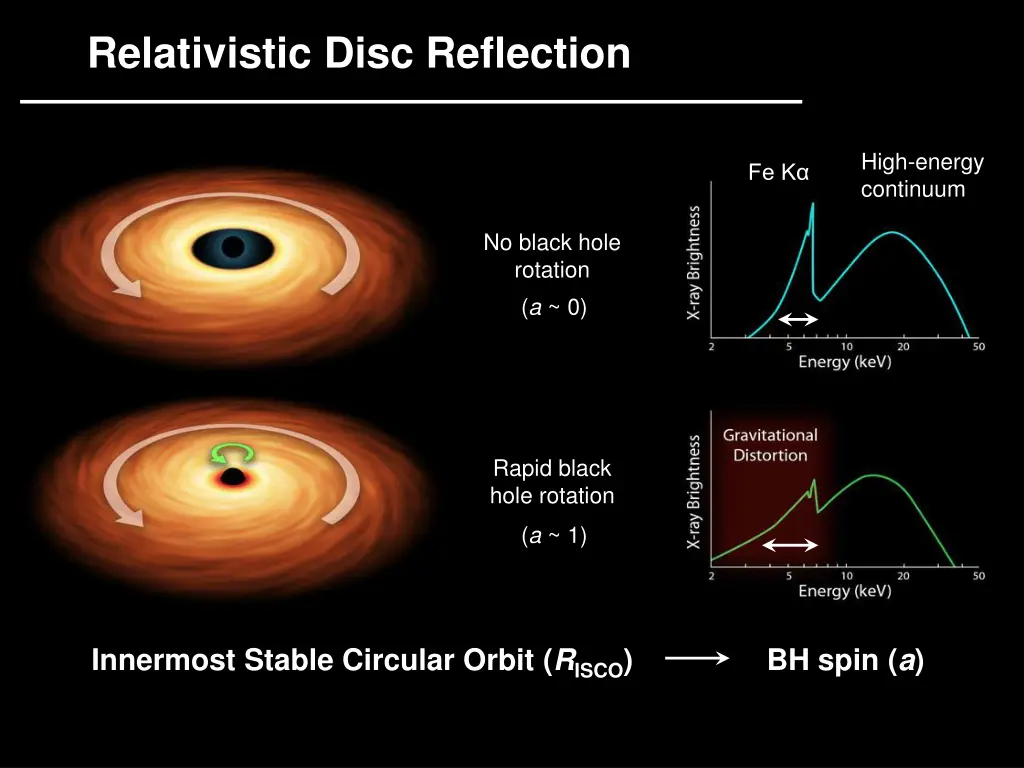 relativistic disc reflection 2