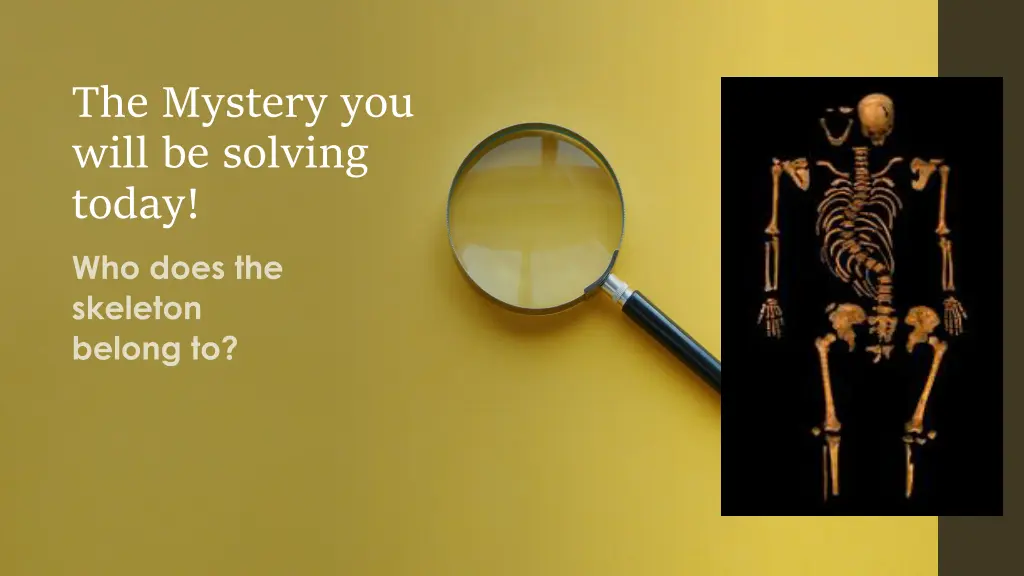 the mystery you will be solving today
