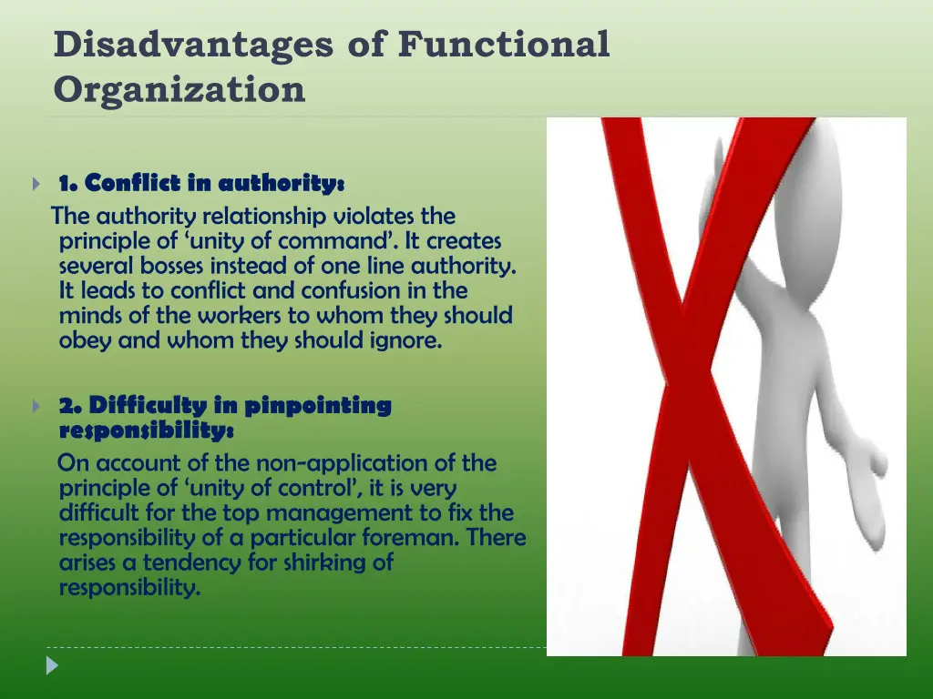 disadvantages of functional organization