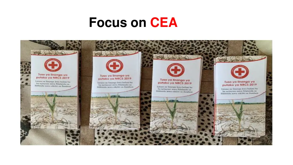 focus on cea