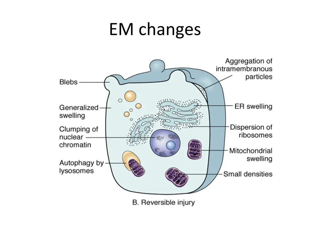 em changes