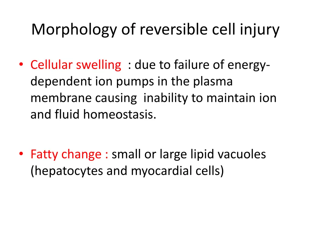morphology of reversible cell injury