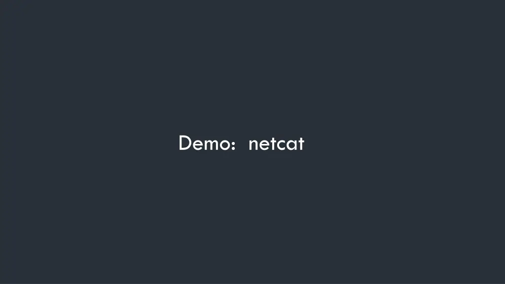 demo netcat