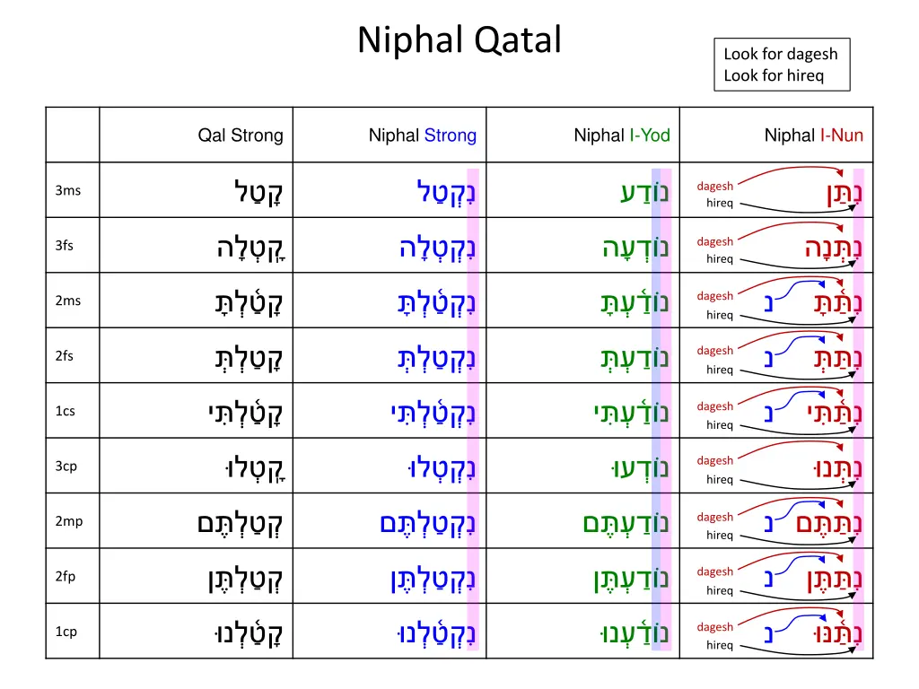 niphal qatal 17