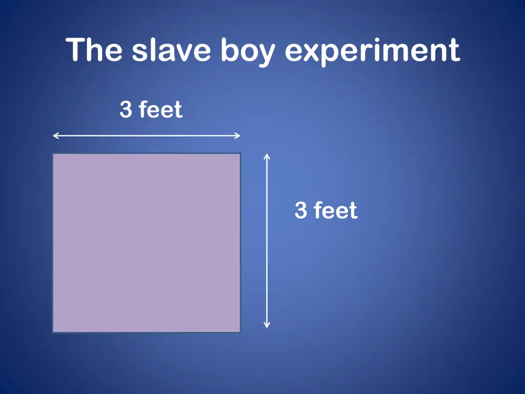 the slave boy experiment 2