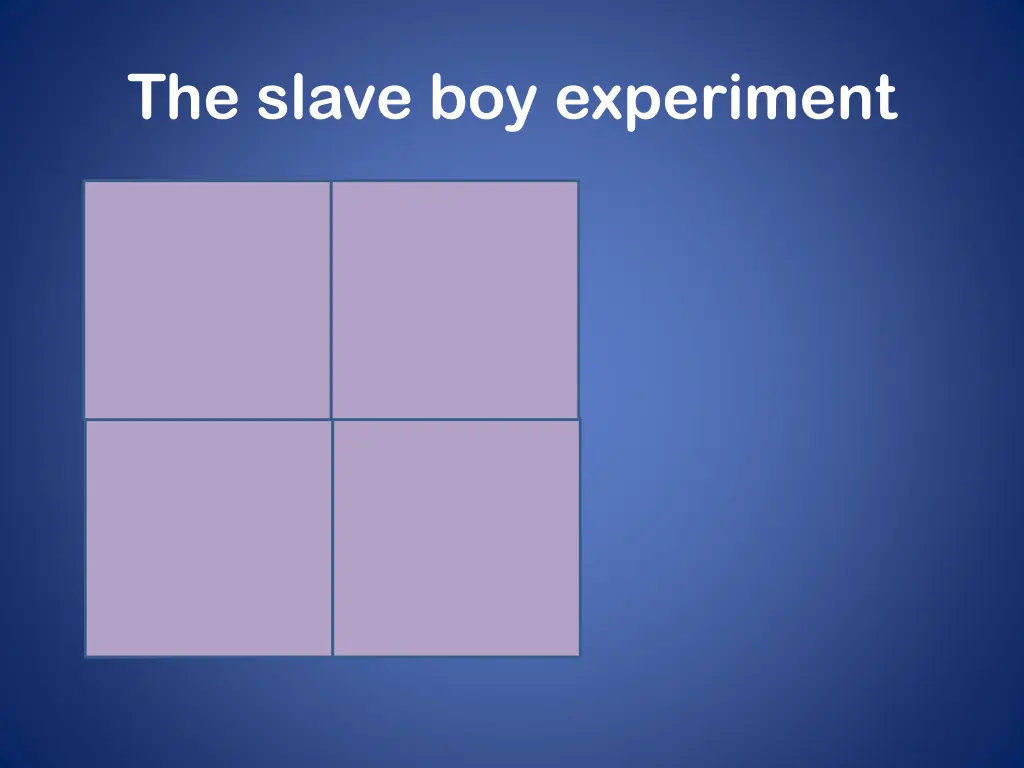 the slave boy experiment 3