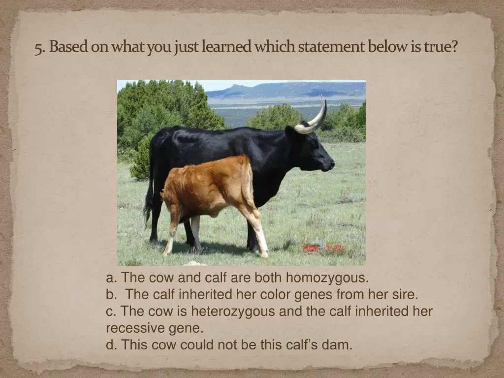 5 based on what you just learned which statement