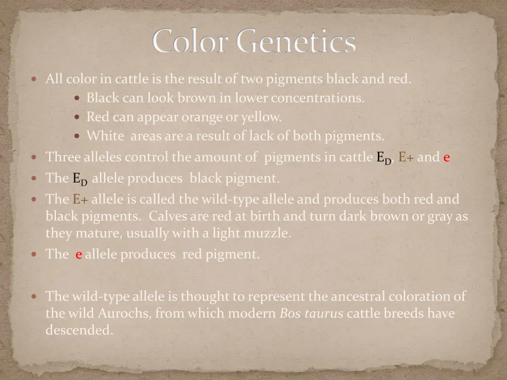 color genetics