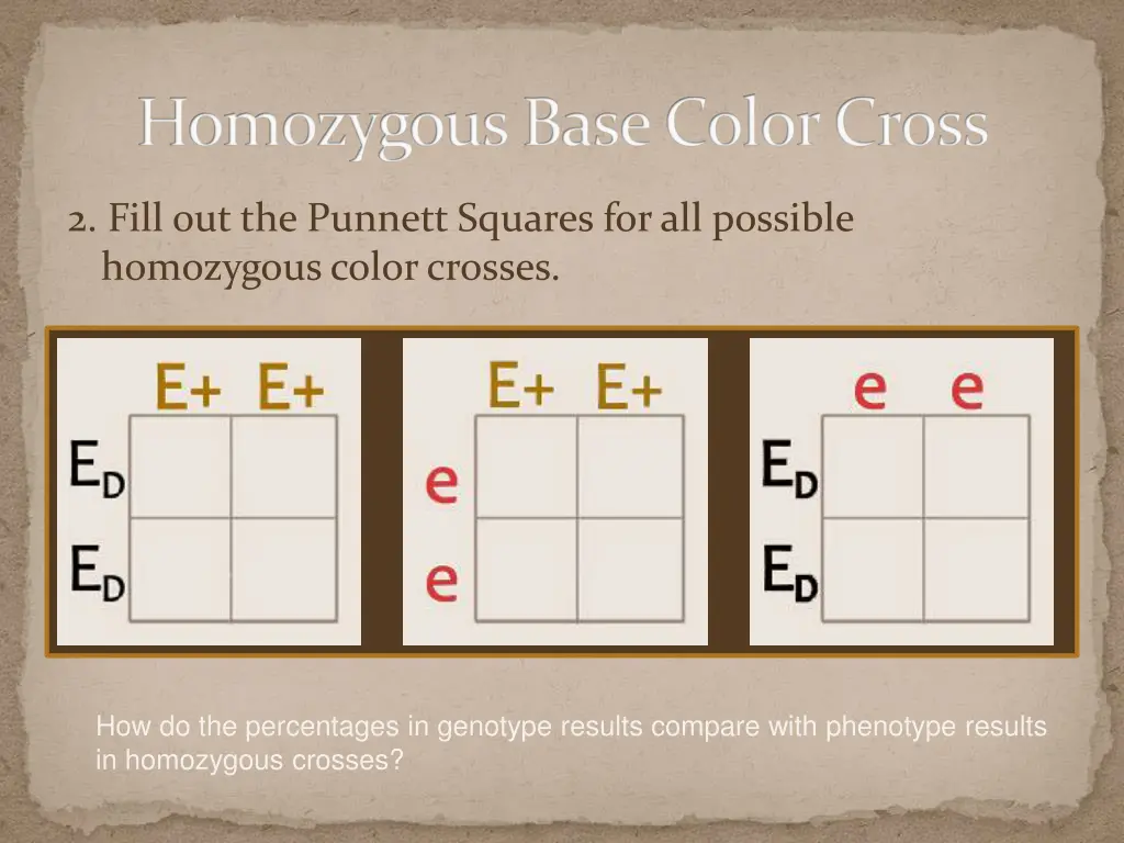 homozygous base color cross